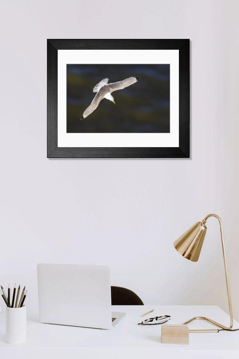 product preview 0