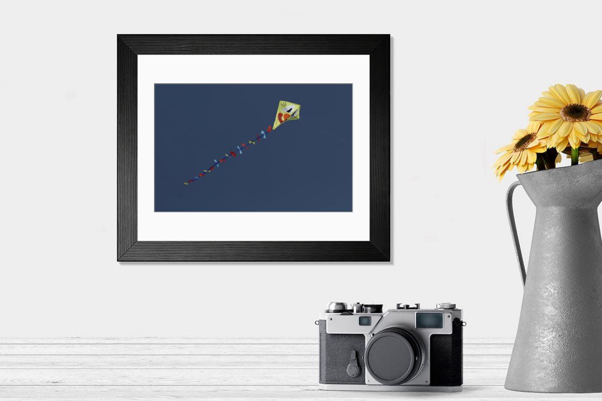 product preview 0