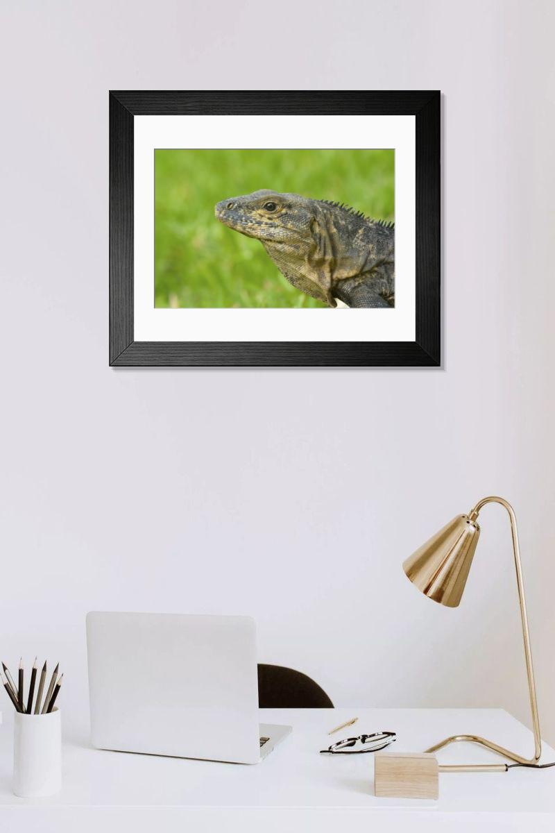 Shown hanging in a room: Modern 14"x12" (36x31cm)