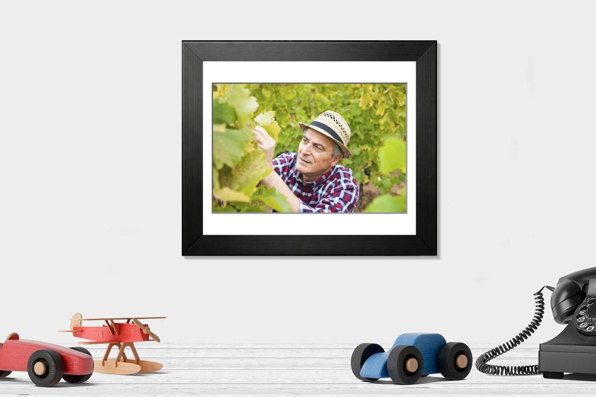 product preview 0
