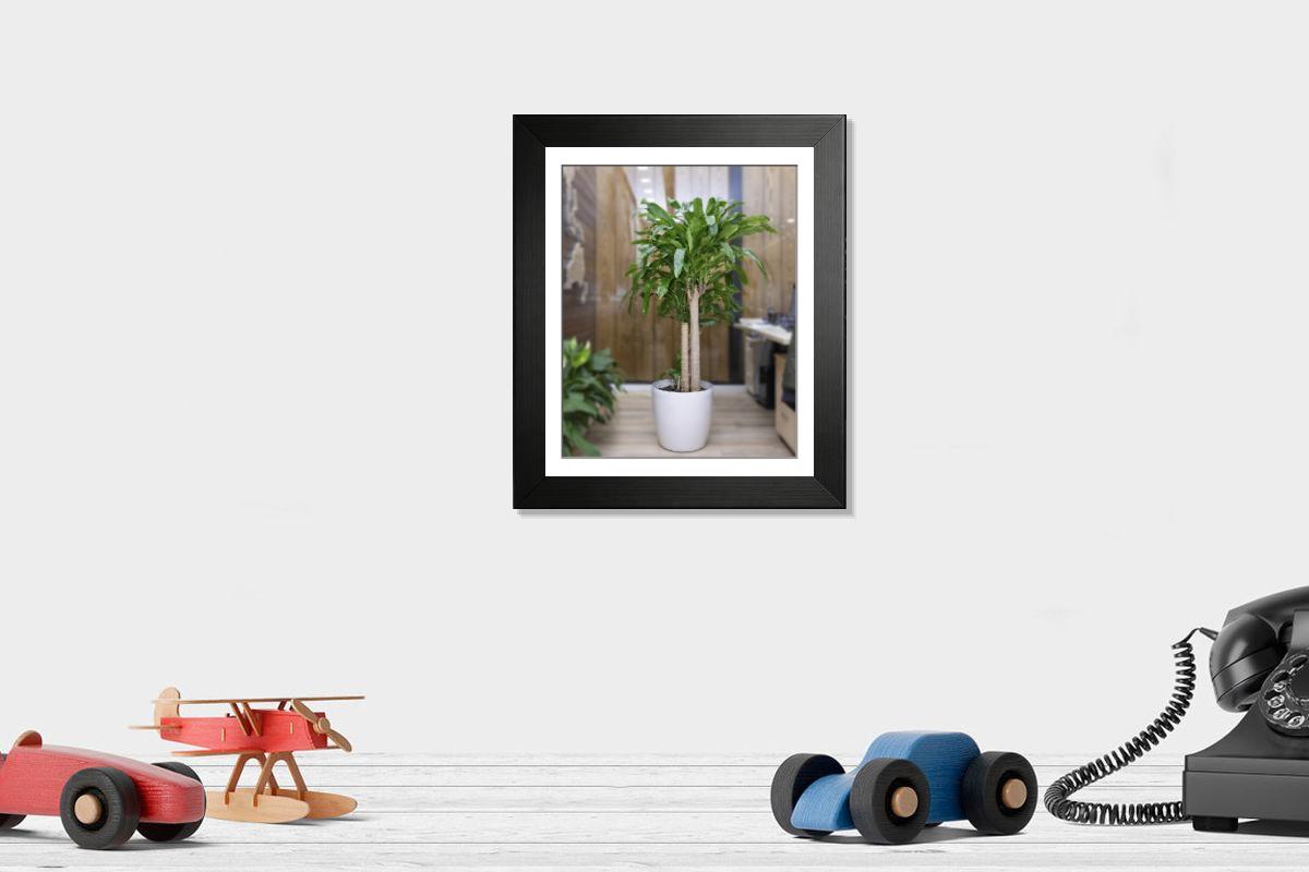 product preview 0