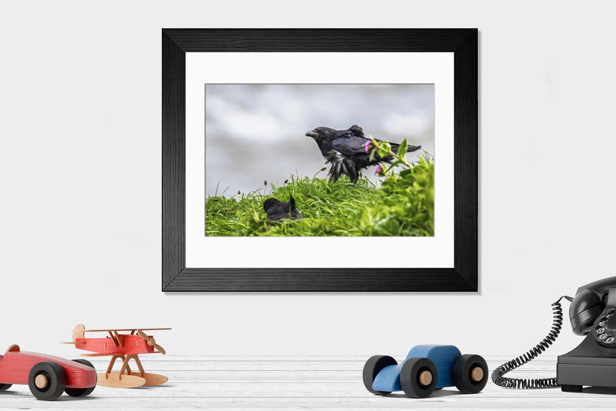 product preview 0