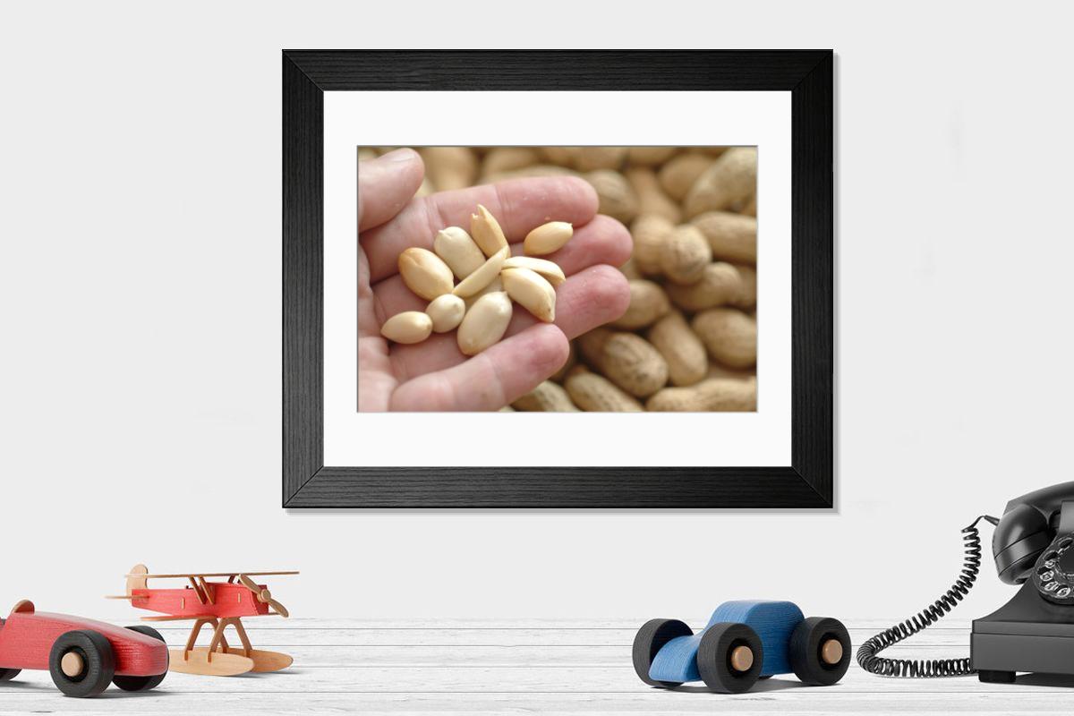 product preview 0