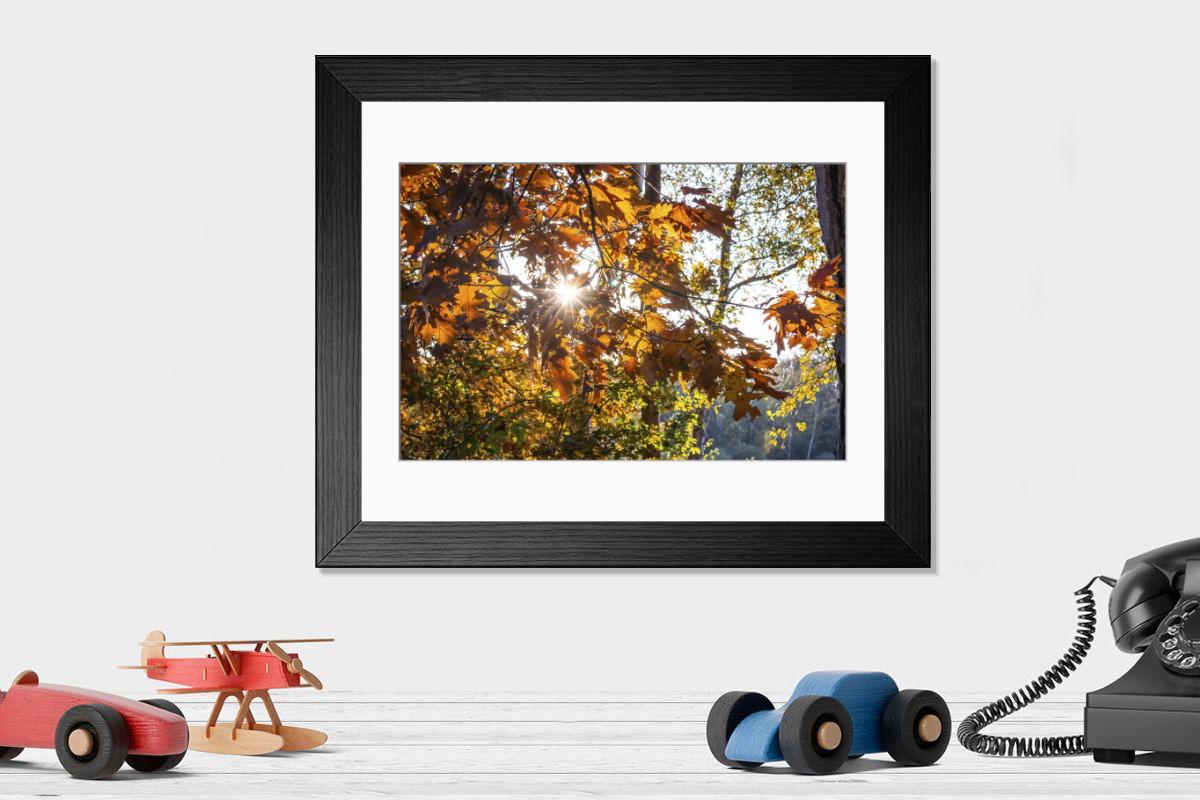 Shown hanging in a room: Modern 14"x12" (36x31cm)