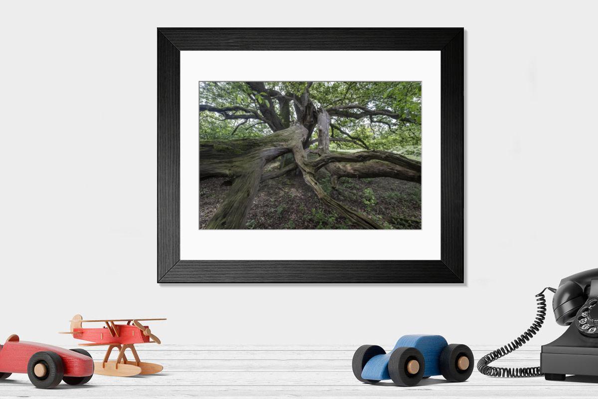 Shown hanging in a room: Modern 14"x12" (36x31cm)