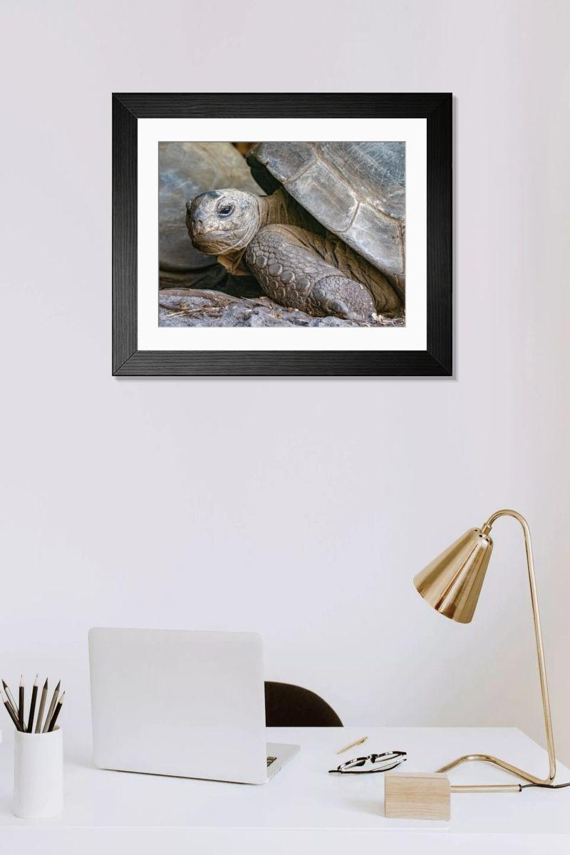 Shown hanging in a room: Modern 14"x12" (36x31cm)