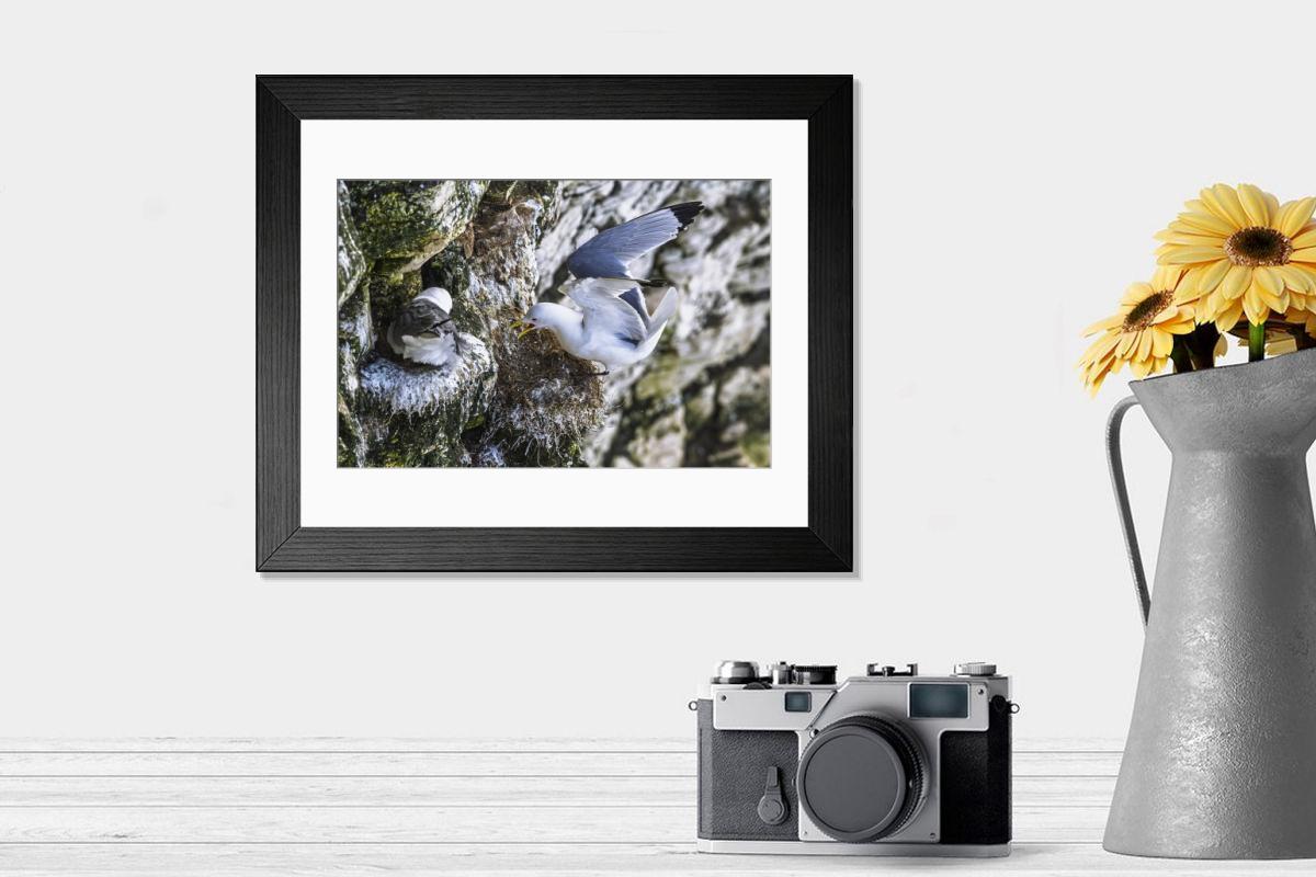 product preview 0