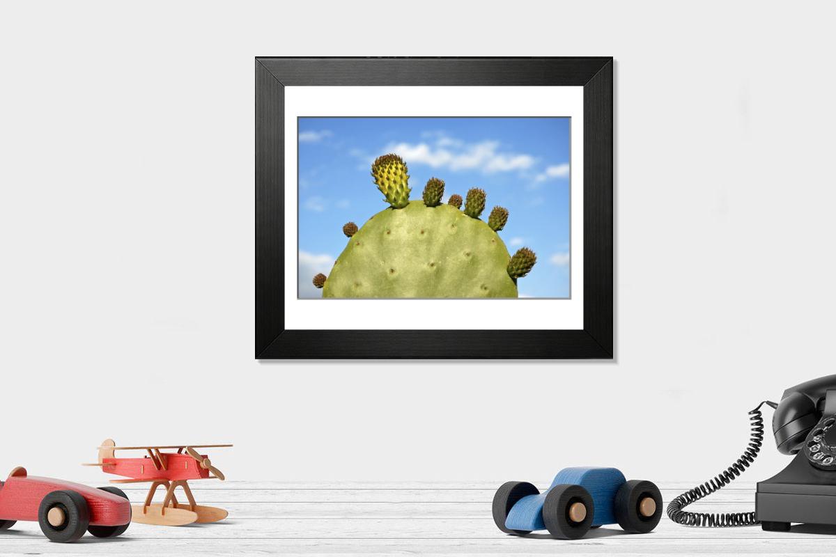 product preview 0