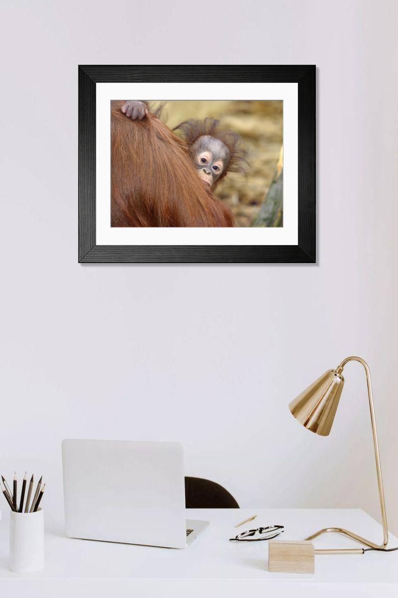Shown hanging in a room: Modern 14"x12" (36x31cm)