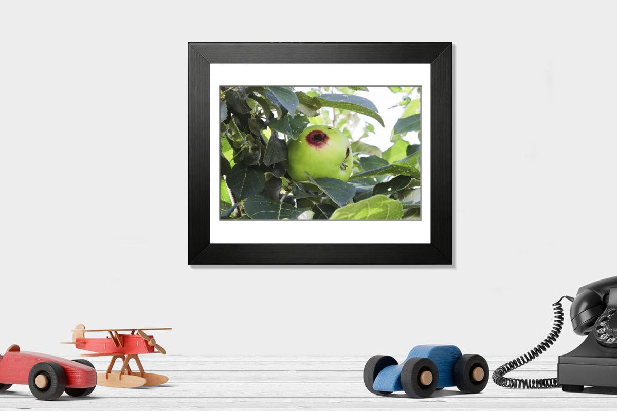 product preview 0