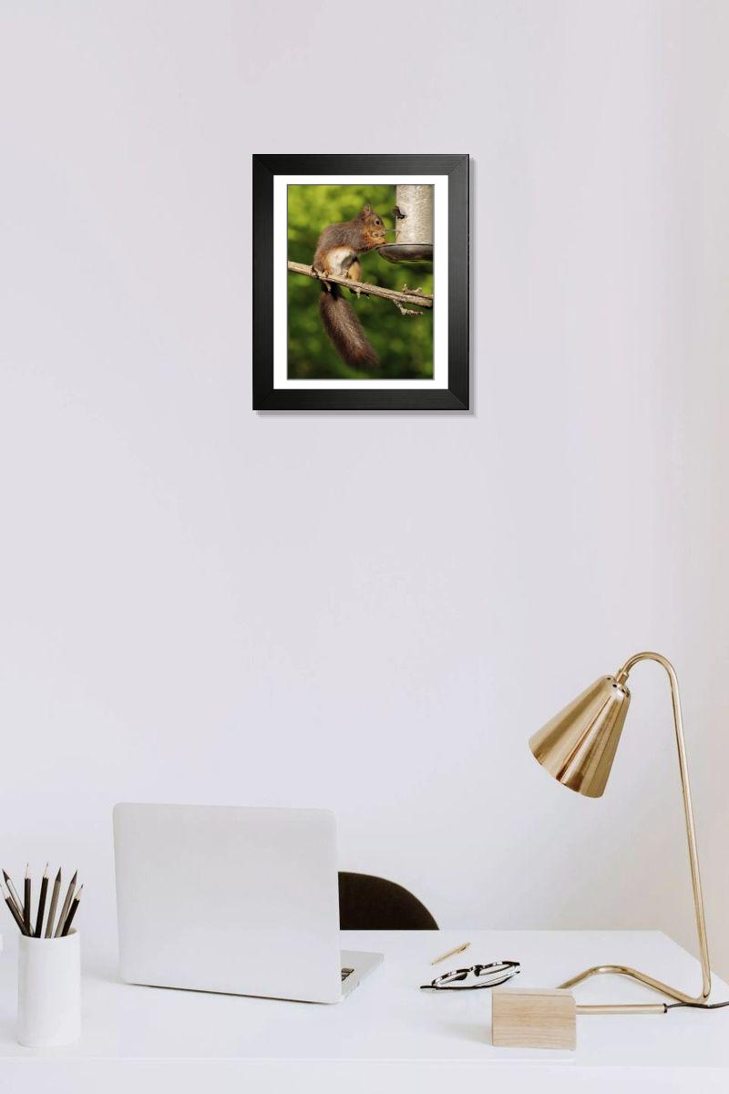 product preview 0