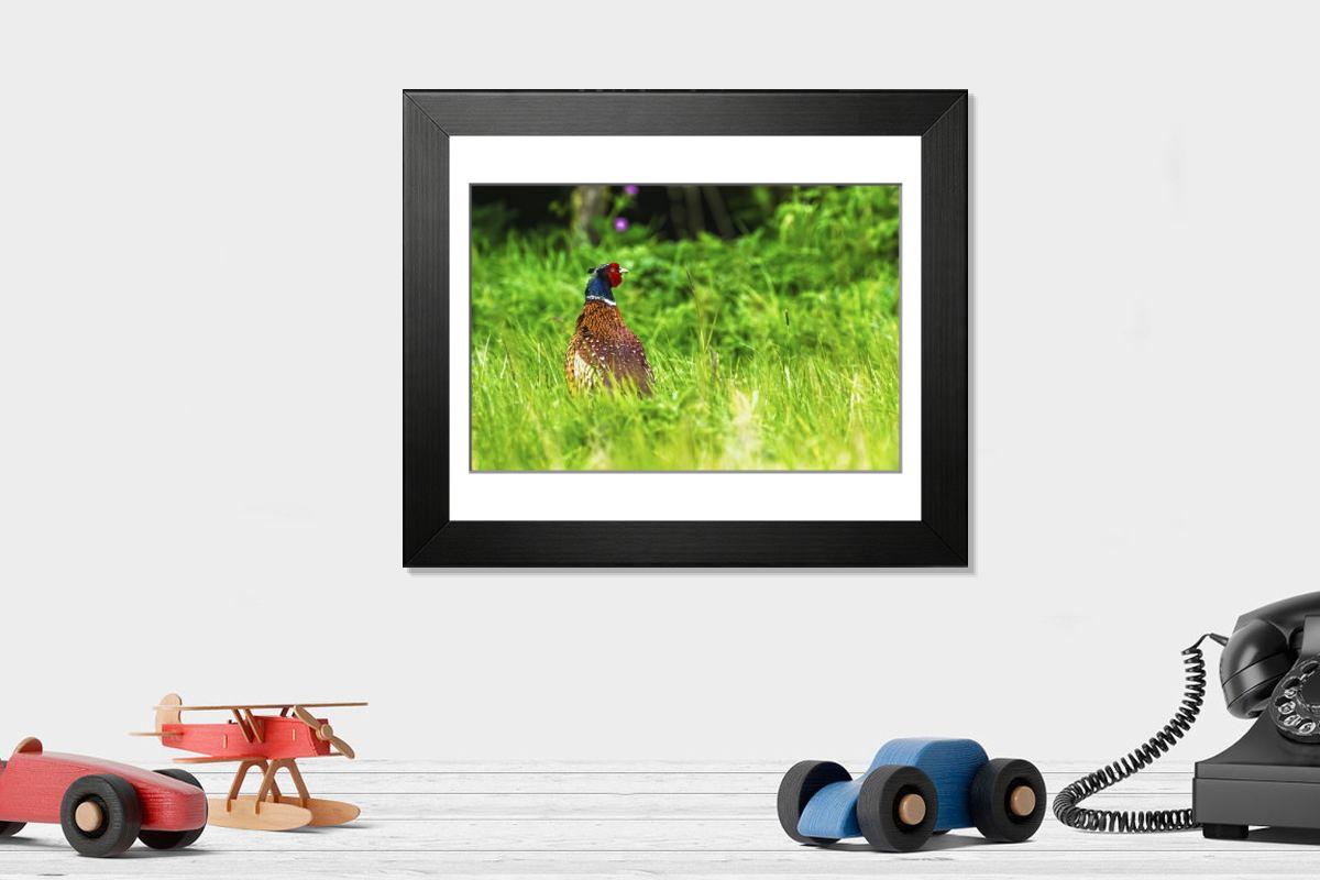 product preview 0