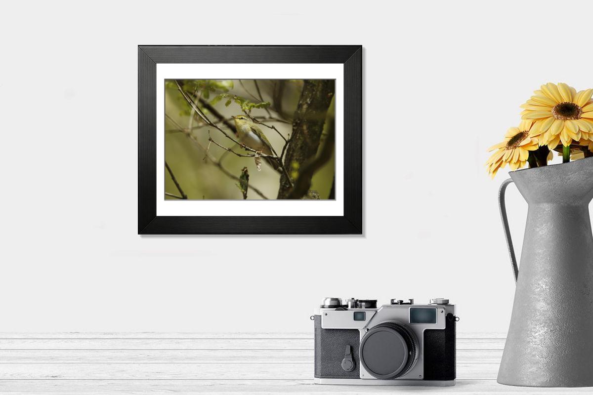 product preview 0