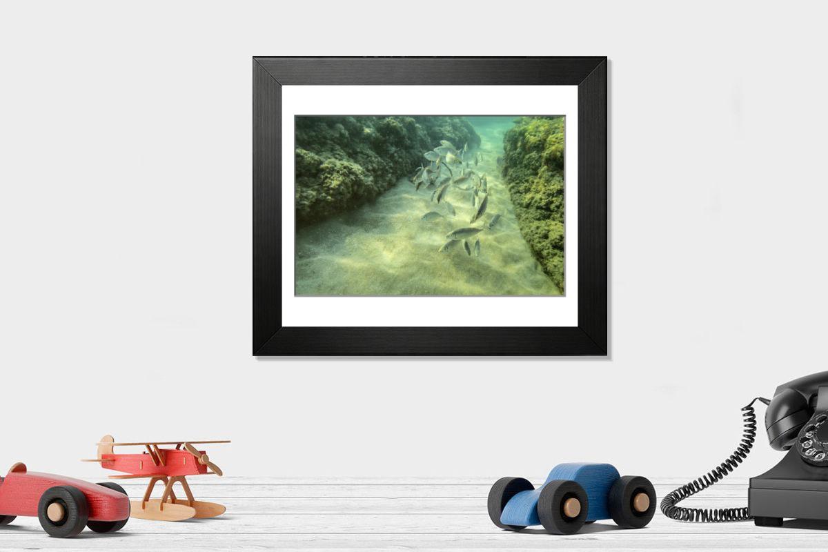 product preview 0