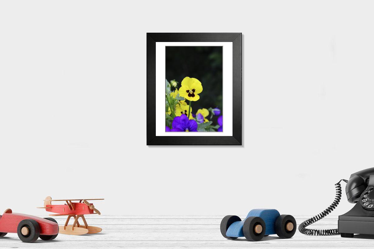 product preview 0