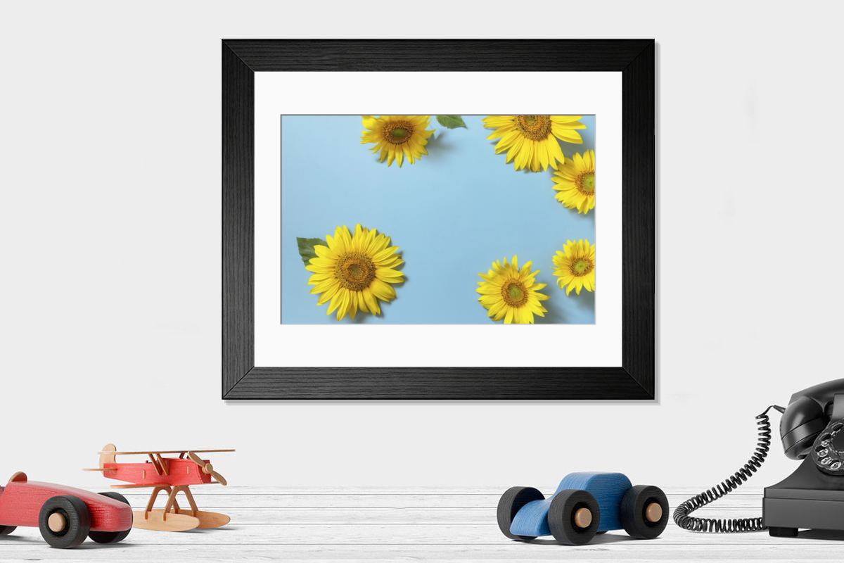 product preview 0