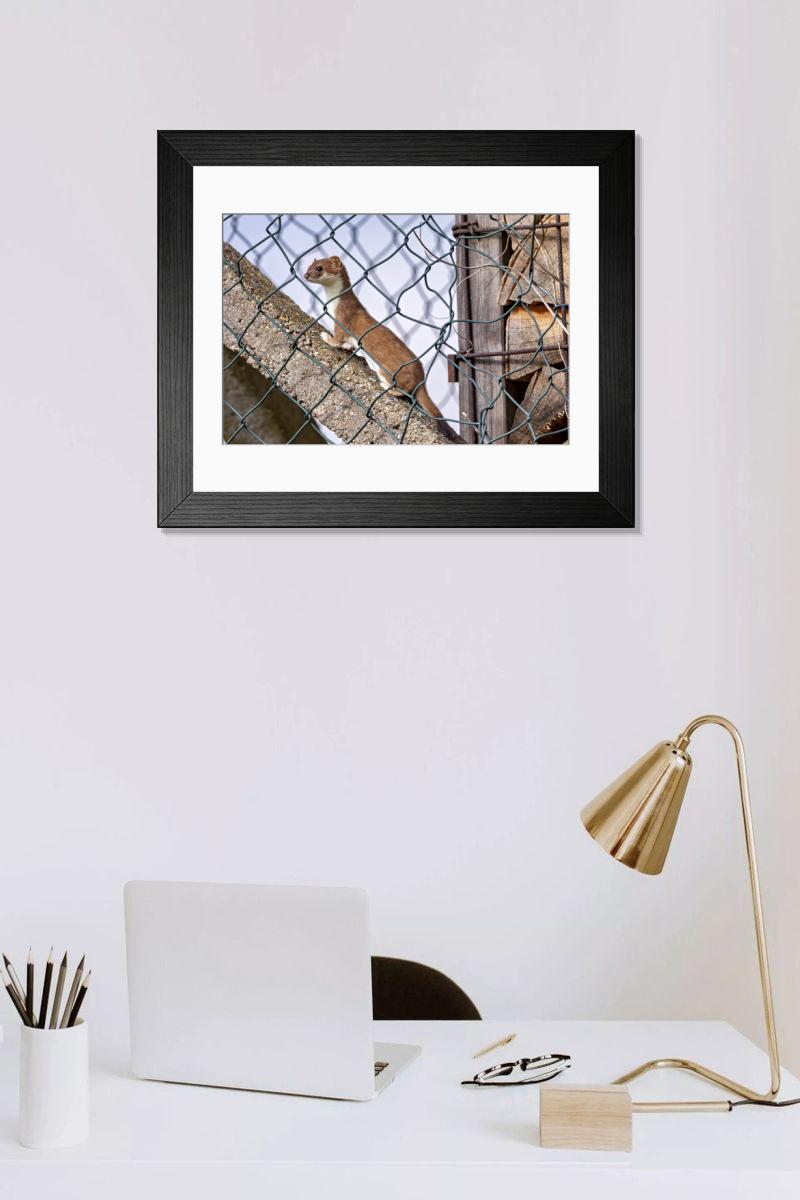 Shown hanging in a room: Modern 14"x12" (36x31cm)