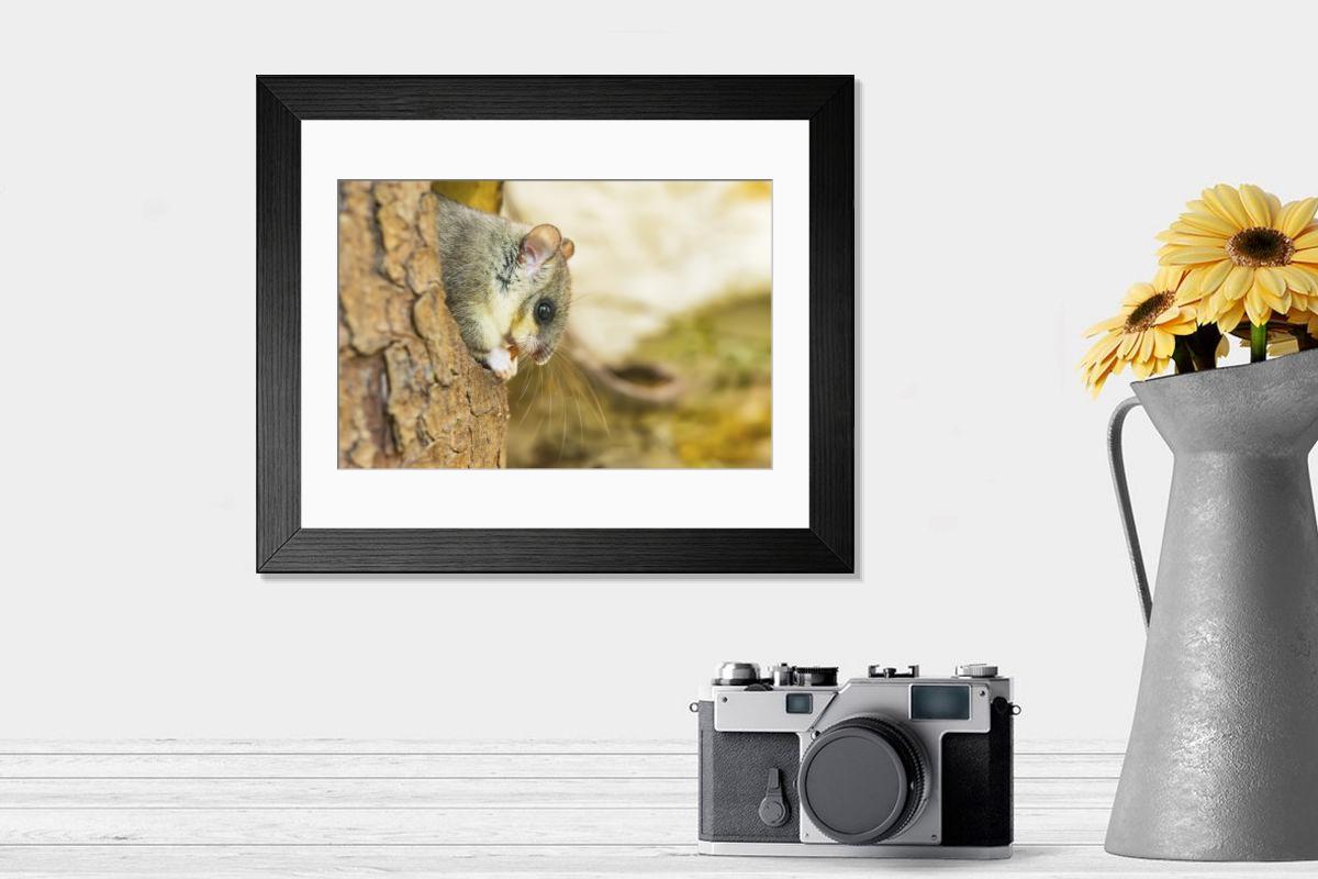 product preview 0