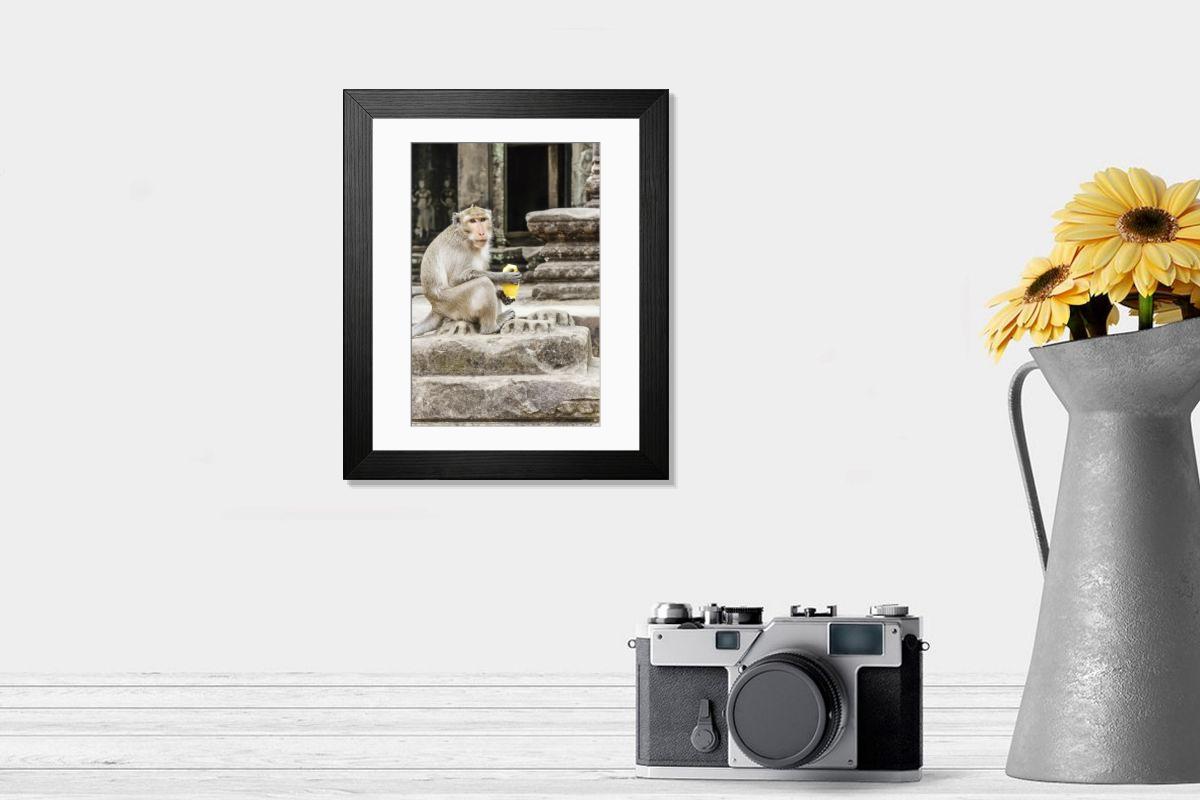 product preview 0