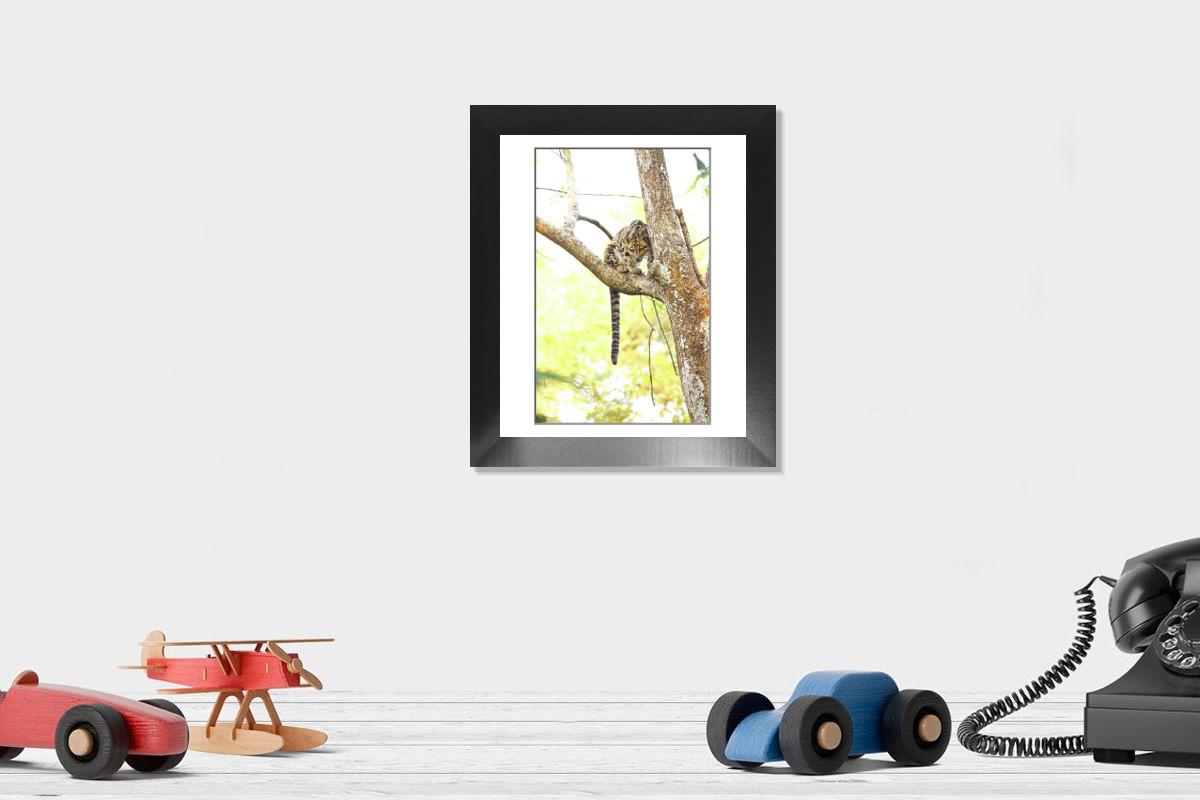 product preview 0