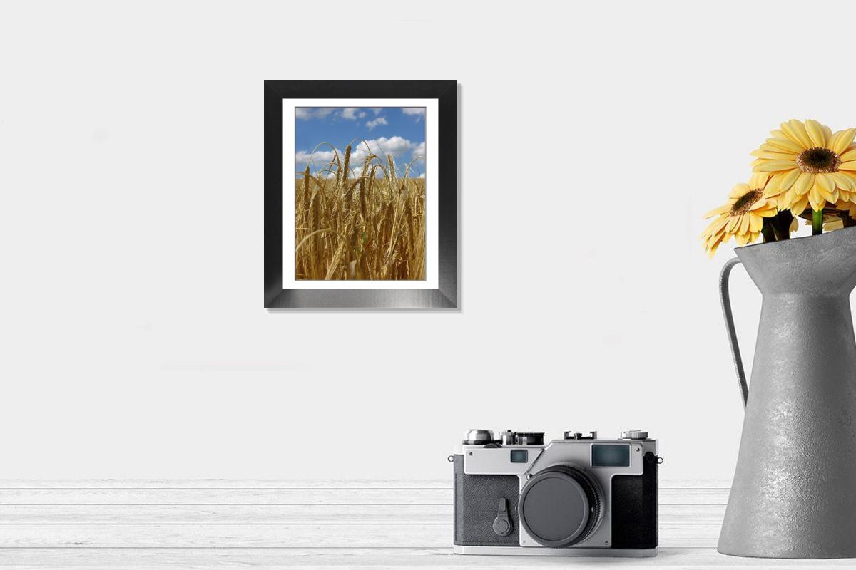 Shown hanging in a room: Modern 12"x10"