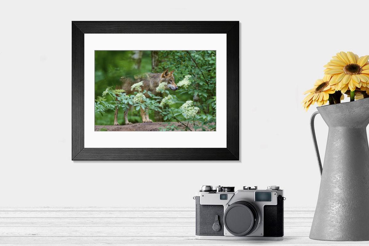 product preview 0