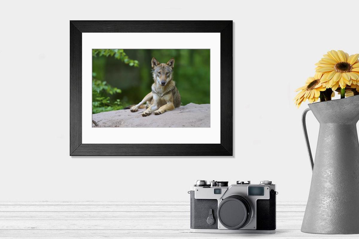 product preview 0