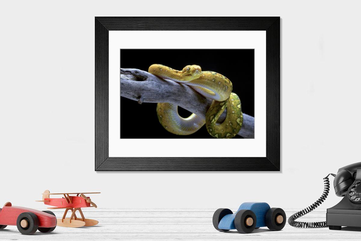 Shown hanging in a room: Modern 14"x12" (36x31cm)