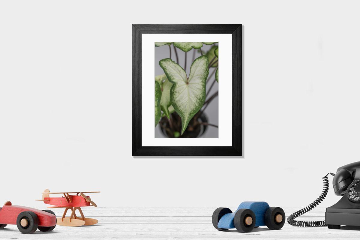 Shown hanging in a room: Modern 14"x12" (36x31cm)