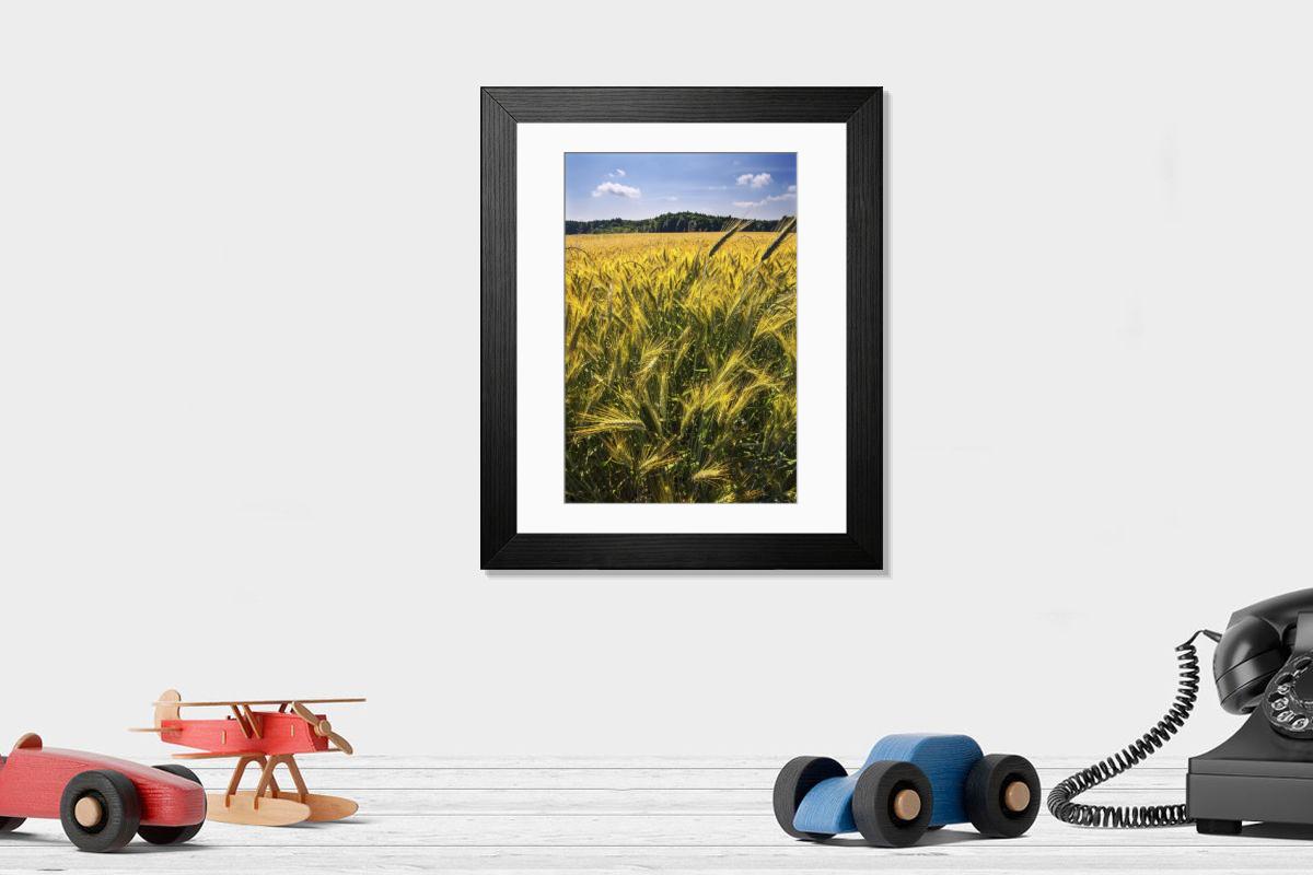Shown hanging in a room: Modern 14"x12" (36x31cm)