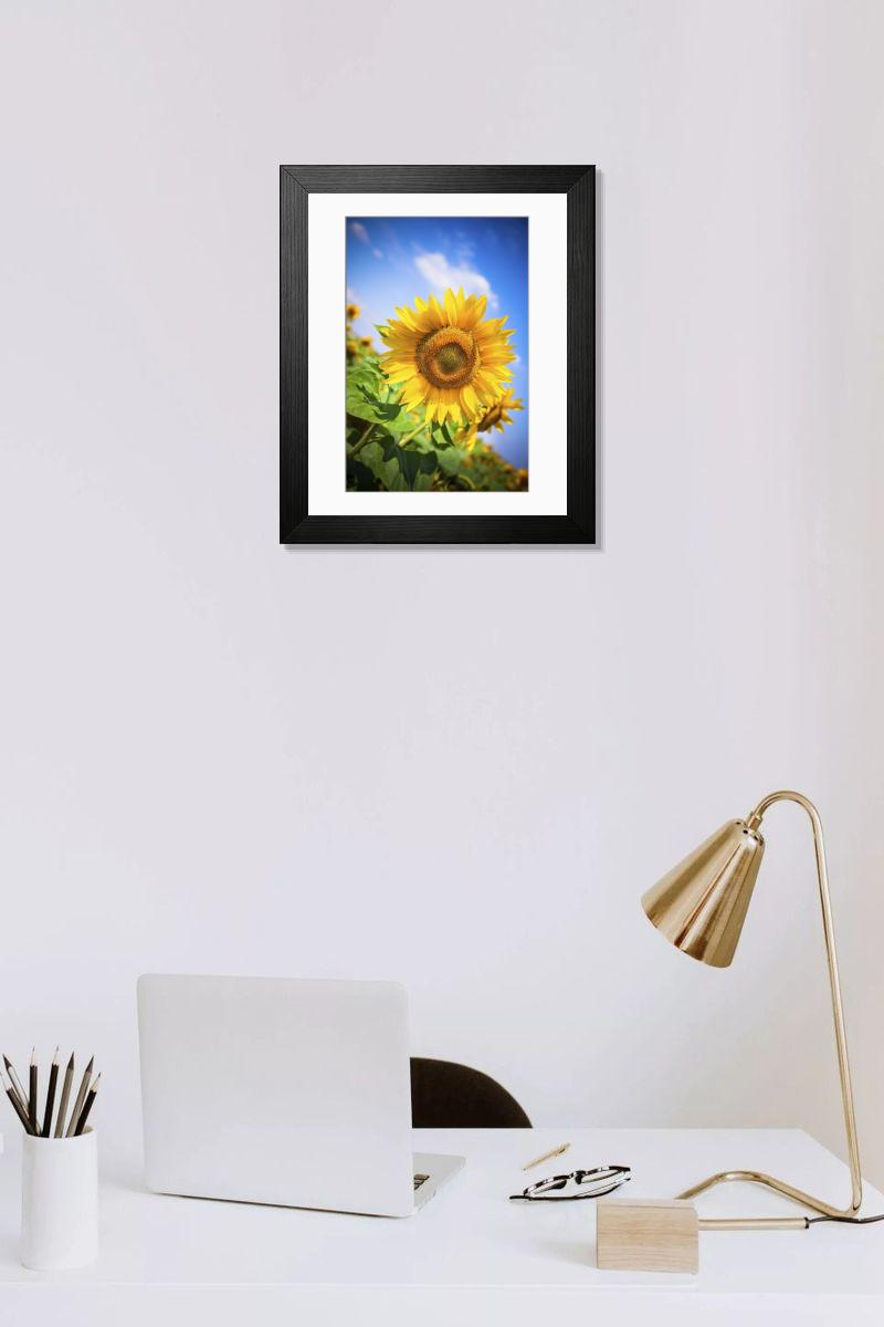 Shown hanging in a room: Modern 14"x12" (36x31cm)