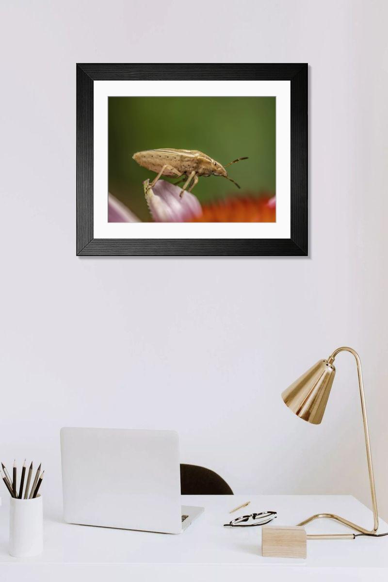 Shown hanging in a room: Modern 14"x12" (36x31cm)