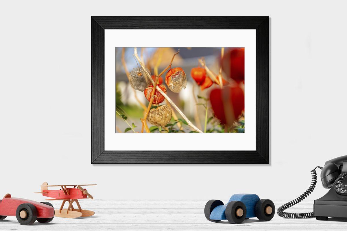 Shown hanging in a room: Modern 14"x12" (36x31cm)