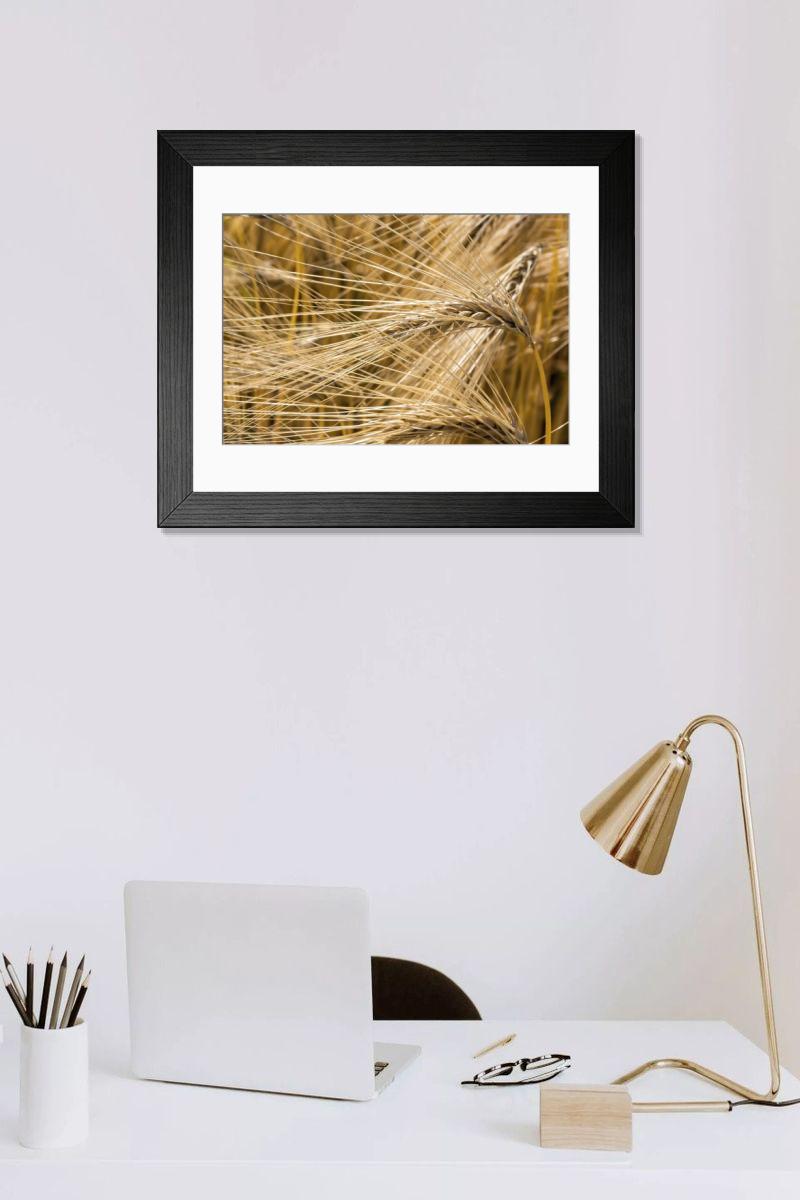 Shown hanging in a room: Modern 14"x12" (36x31cm)