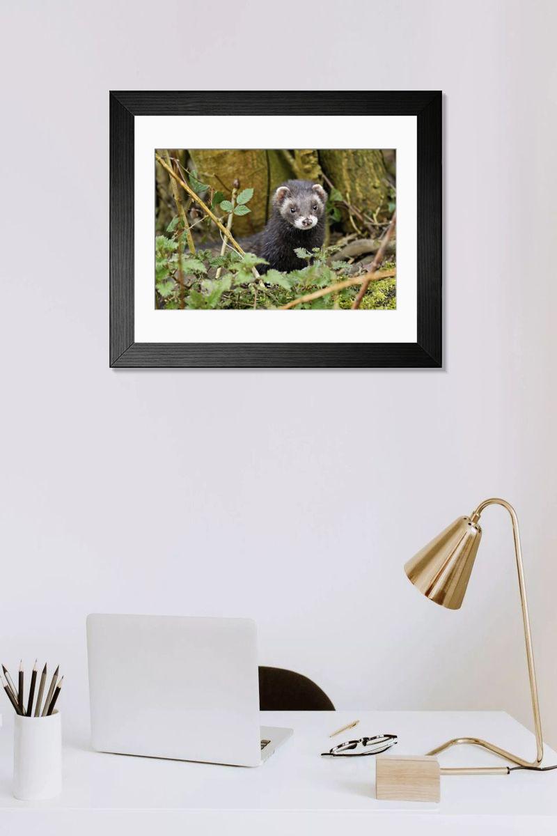 Shown hanging in a room: Modern 14"x12" (36x31cm)