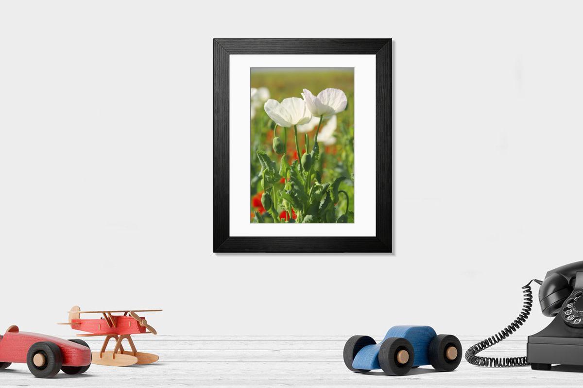 Shown hanging in a room: Modern 14"x12" (36x31cm)