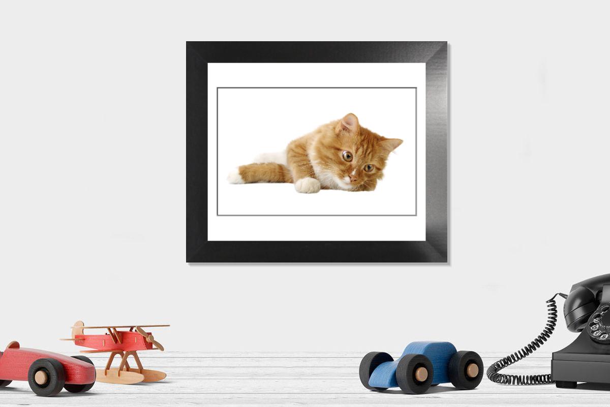 product preview 0