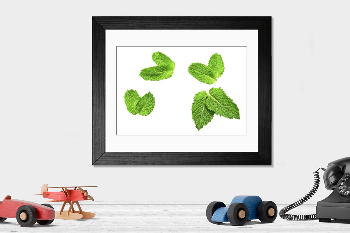 product preview 0