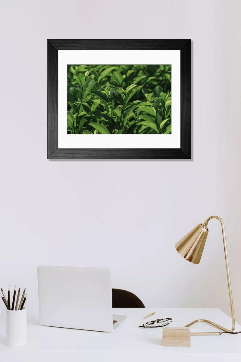 Shown hanging in a room: Modern 14"x12" (36x31cm)
