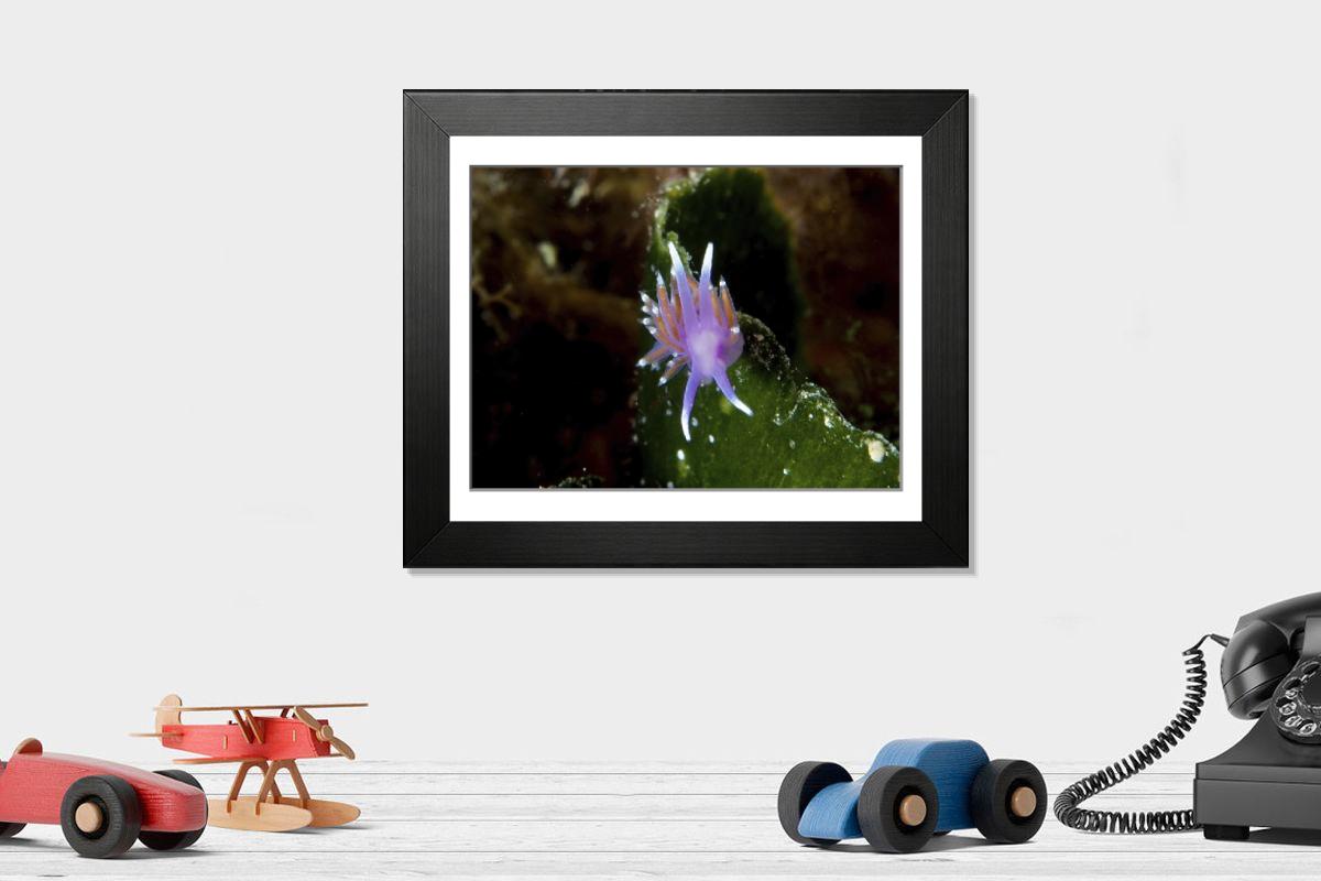 Shown hanging in a room: Modern 12"x10"
