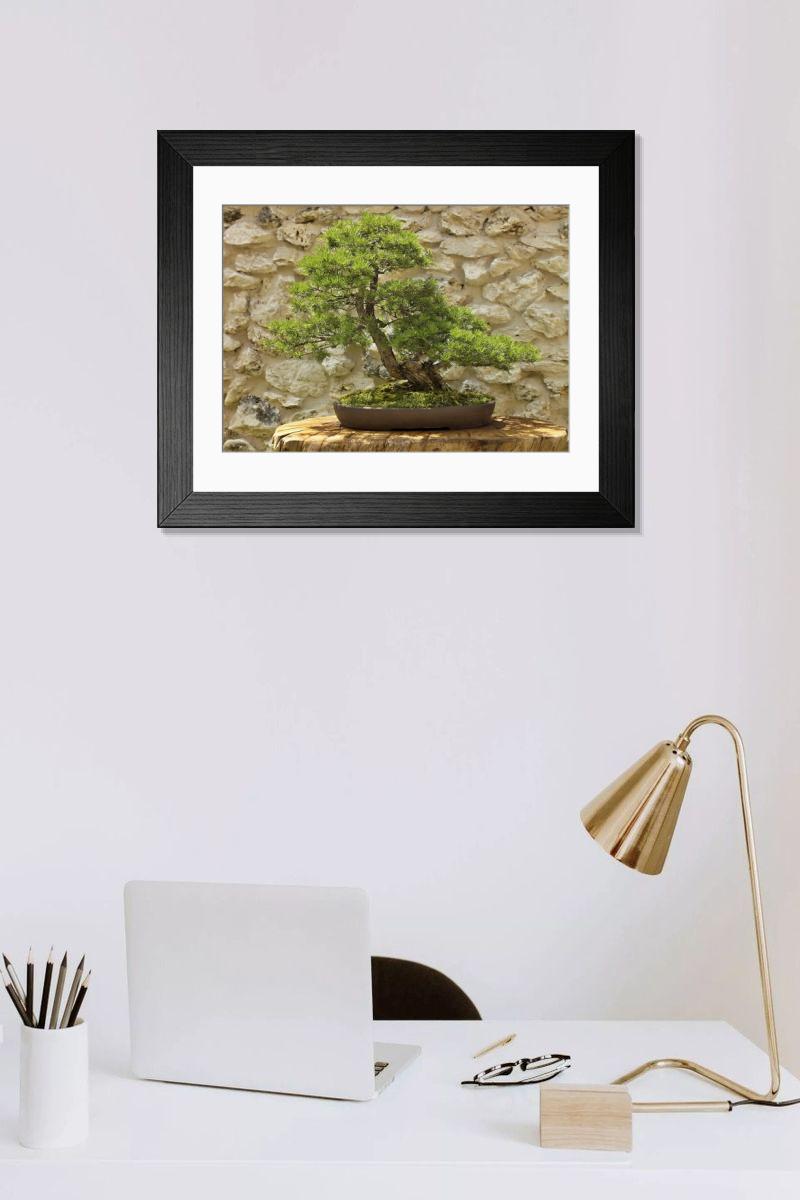 Shown hanging in a room: Modern 14"x12" (36x31cm)