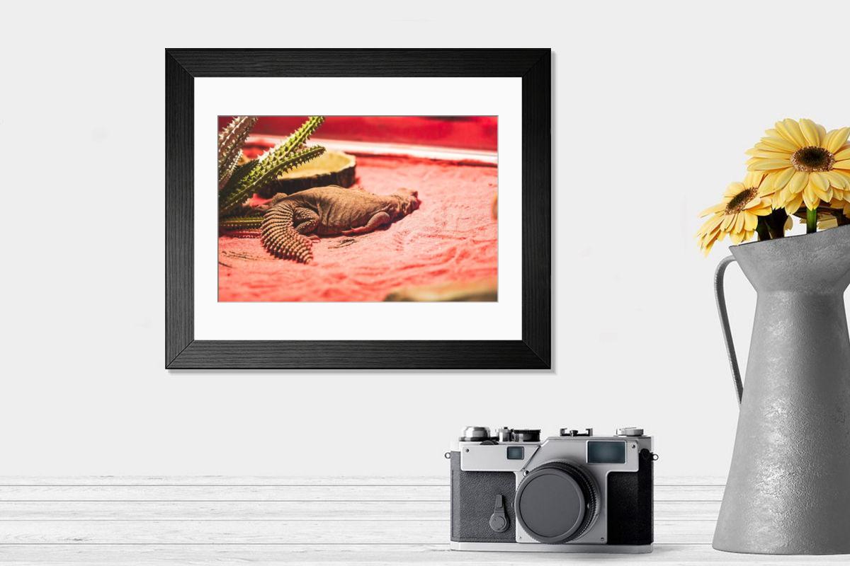 Shown hanging in a room: Modern 14"x12" (36x31cm)