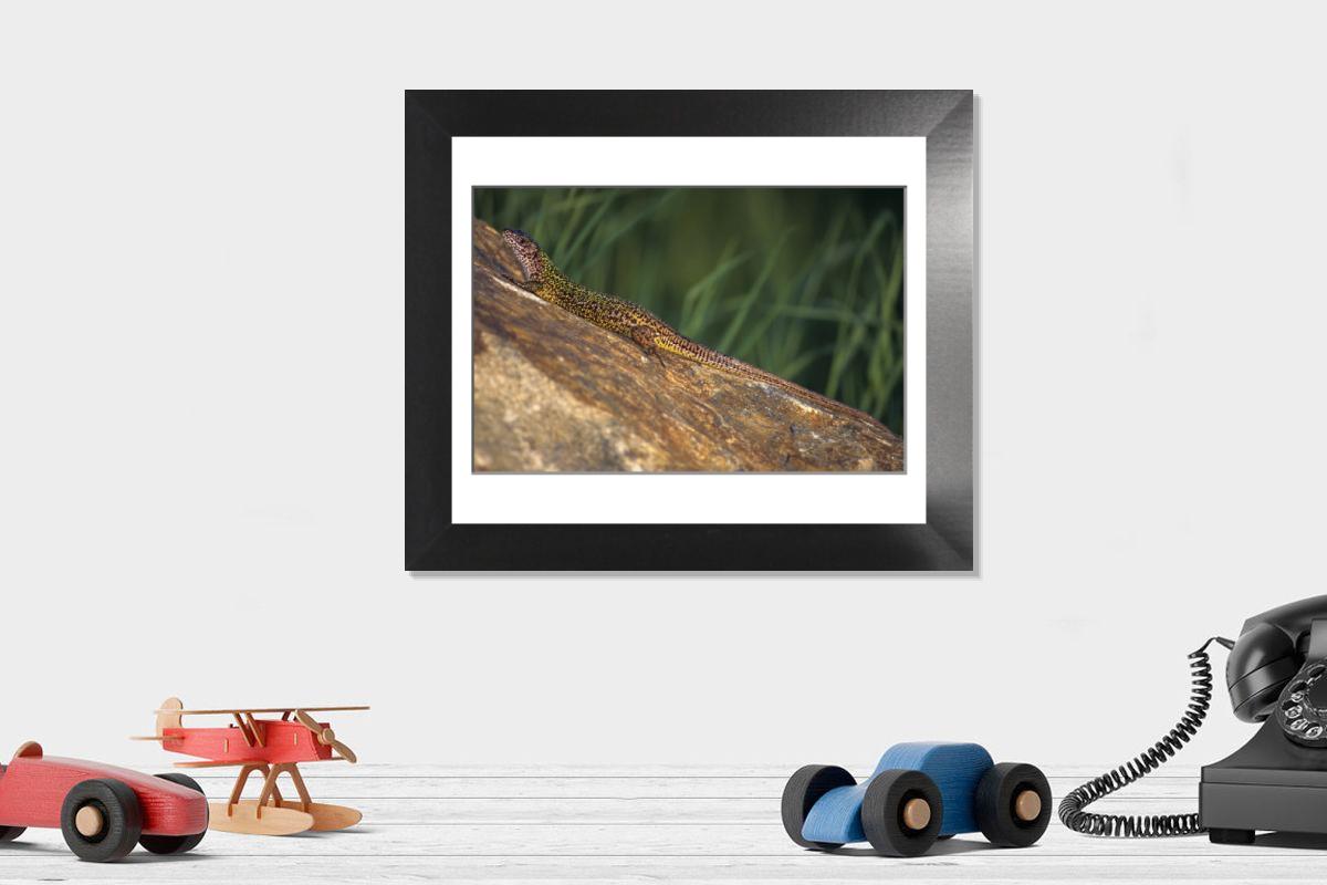 Shown hanging in a room: Modern 12"x10"