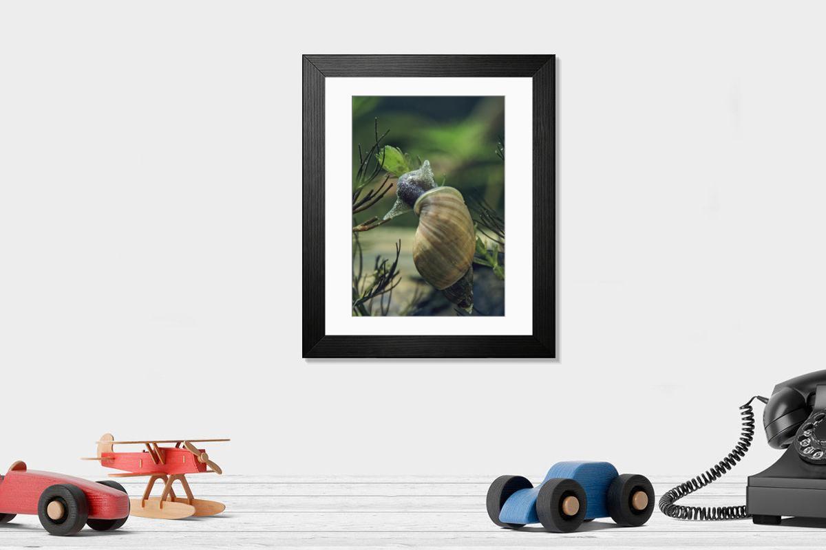 Shown hanging in a room: Modern 14"x12" (36x31cm)