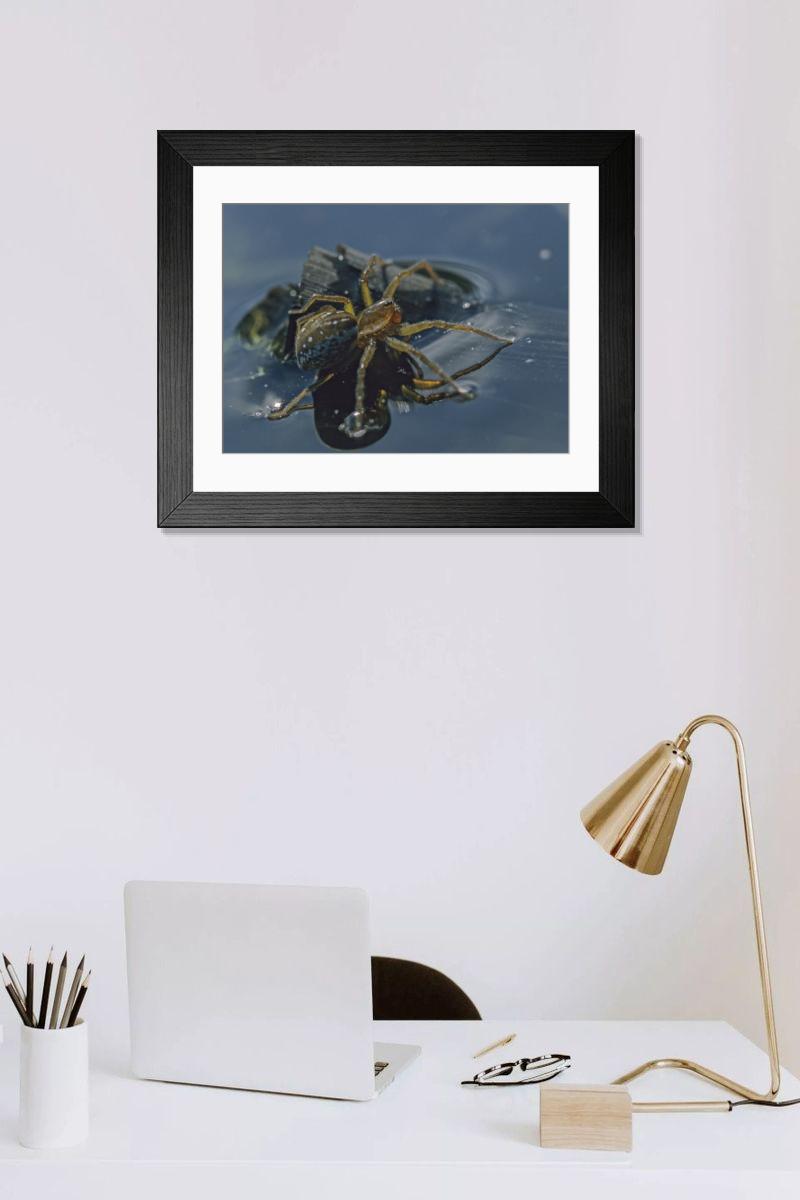 Shown hanging in a room: Modern 14"x12" (36x31cm)