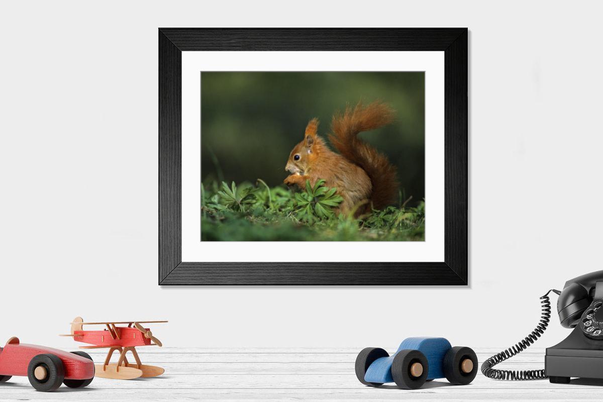 product preview 0