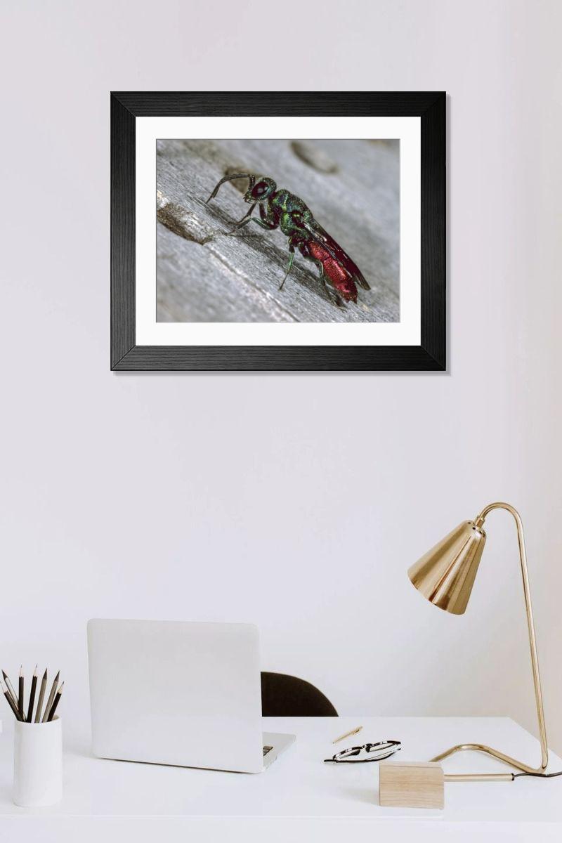 Shown hanging in a room: Modern 14"x12" (36x31cm)