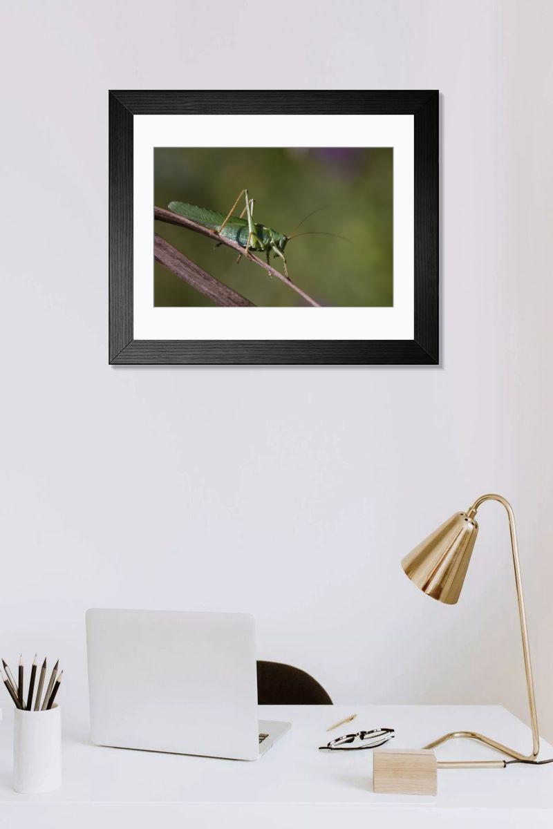 Shown hanging in a room: Modern 14"x12" (36x31cm)