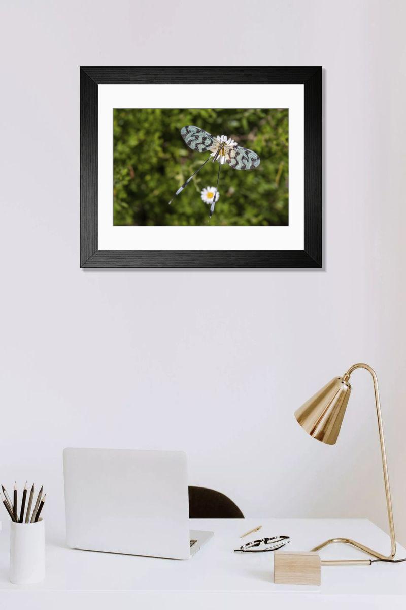 Shown hanging in a room: Modern 14"x12" (36x31cm)