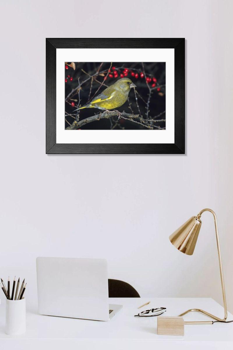 Shown hanging in a room: Modern 14"x12" (36x31cm)